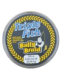 MYLON ΜΕΣΙΝΕΖΑ BULLY BRAID ΓΚΡΙ ΑΝΘΡΑΚΟΝΗΜΑ 100Μ
