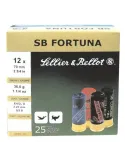 SB FORTUNA C12